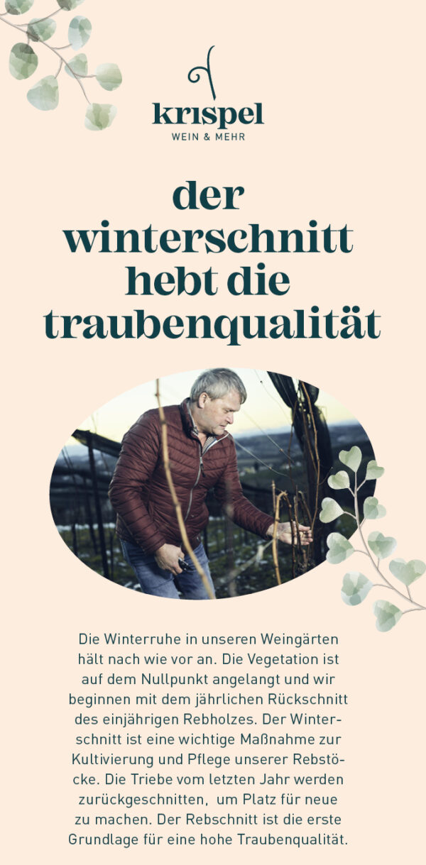 krispel_arbeit-im-weingarten