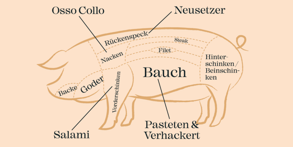 Die Grafik zeigt die Bereiche, die vom Wollschwein verarbeitet werden.