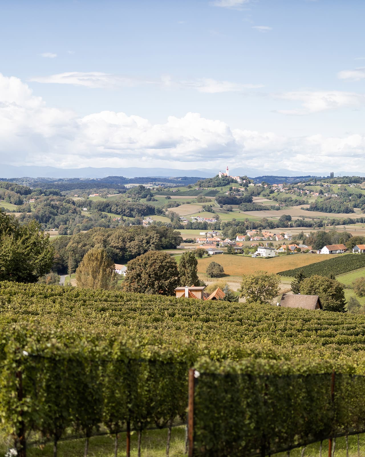 Image for Nächtigen in den Weinbergen
