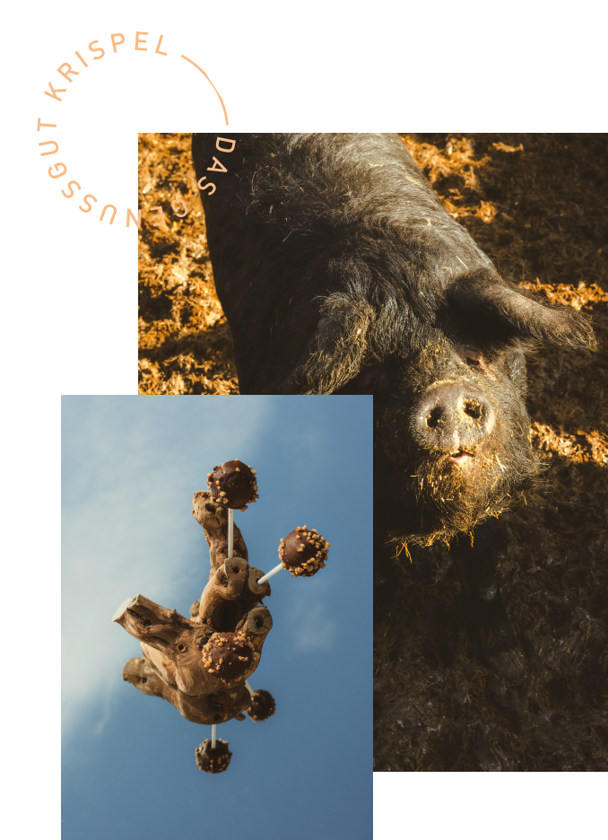 Newsletter image